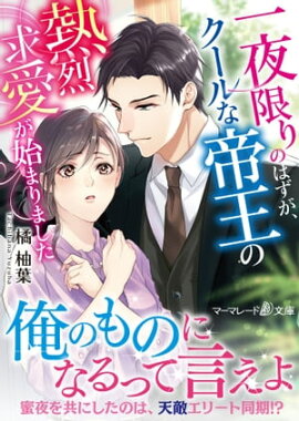 一夜限りのはずが、クールな帝王の熱烈求愛が始まりました 