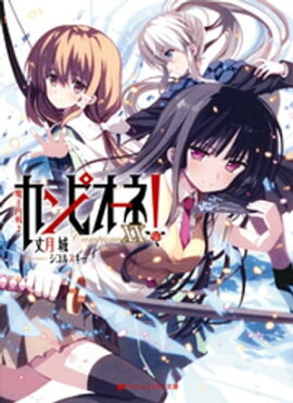 カンピオーネ！　XX　魔王内戦２ 