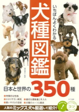 いちばんよくわかる　犬種図鑑　日本と世界の350種 