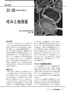 東洋医学と生命科学の融合を目指して : 第3回　痒みと和漢薬