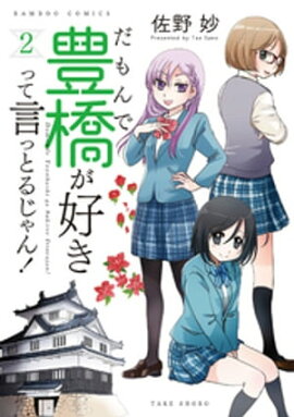 だもんで豊橋が好きって言っとるじゃん！ (2) 