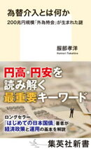 為替介入とは何か　200兆円規模「外為特会」が生まれた謎
