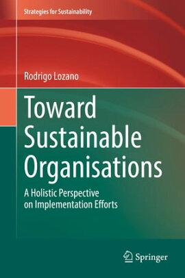 Toward Sustainable Organisations A Holistic Perspective on Implementation Efforts