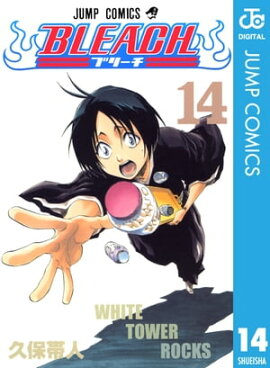 BLEACH モノクロ版 14 