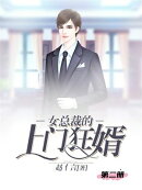 女总裁的上门狂婿（第二册）