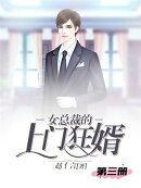 女总裁的上门狂婿（第三册）