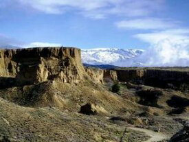 El Nexo de la Eternidad【電子書籍】[ miguel alejandro castillo soto ]