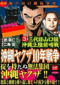 三代目山口組 沖縄上陸前哨戦 沖縄ヤクザ10年戦争 3巻【電子書籍】[ 武喜仁 ]