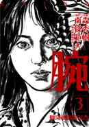 腕〜駿河城御前試合〜(3)