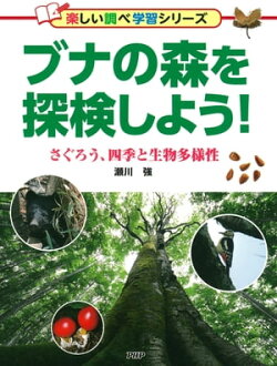 ブナの森を探検しよう!