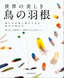 世界の美しき鳥の羽根