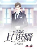 女总裁的上门狂婿（第一册）