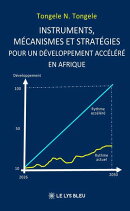 Instruments, mécanismes et stratégies pour un développement accéléré en Afrique