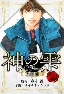 マリアージュ 〜神の雫 最終章〜　愛蔵版　21 