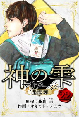 マリアージュ 〜神の雫 最終章〜　愛蔵版　22 
