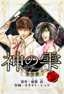 マリアージュ 〜神の雫 最終章〜　愛蔵版　3 