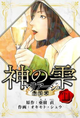 マリアージュ 〜神の雫 最終章〜　愛蔵版　11 