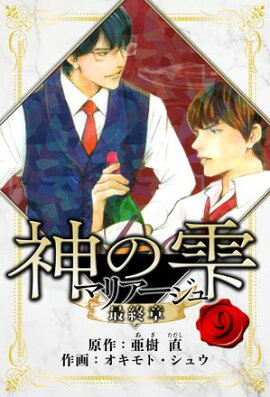 マリアージュ 〜神の雫 最終章〜　愛蔵版　9 