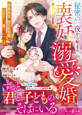 秘密の一夜から始まる懐妊溺愛婚〜財界策士は囚われ花嫁をベビーごと愛で包み抱く〜 