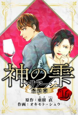 マリアージュ 〜神の雫 最終章〜　愛蔵版　16 