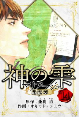 マリアージュ 〜神の雫 最終章〜　愛蔵版　14 