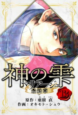 マリアージュ 〜神の雫 最終章〜　愛蔵版　13 