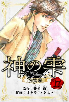 マリアージュ 〜神の雫 最終章〜　愛蔵版　17 