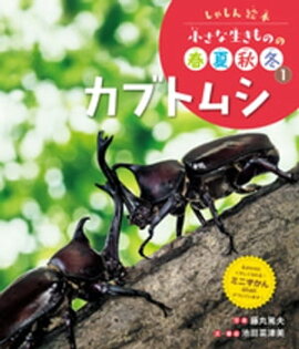 カブトムシ１　しゃしん絵本　小さな生きものの春夏秋冬 