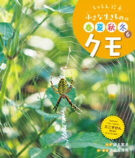 クモ６　しゃしん絵本　小さな生きものの春夏秋冬 