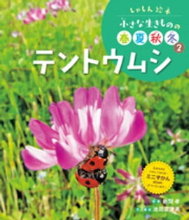 テントウムシ２　しゃしん絵本　小さな生きものの春夏秋冬 