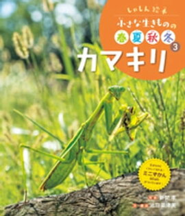カマキリ３　しゃしん絵本　小さな生きものの春夏秋冬 