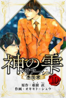 マリアージュ 〜神の雫 最終章〜　愛蔵版　10 