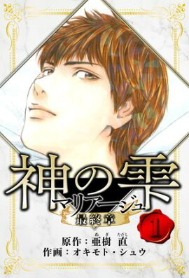 マリアージュ 〜神の雫 最終章〜　愛蔵版　1 