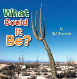 What Could It Be?【電子書籍】[ Gail Bornfield ]