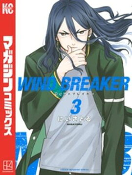 ＷＩＮＤ　ＢＲＥＡＫＥＲ（３） 