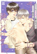 キレイな××(♂)に襲われまして