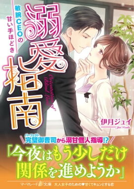 溺愛指南〜敏腕CEOの甘い手ほどき〜 