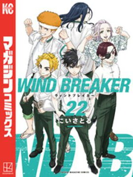 ＷＩＮＤ　ＢＲＥＡＫＥＲ（２２） 