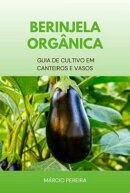 Berinjela Orgânica