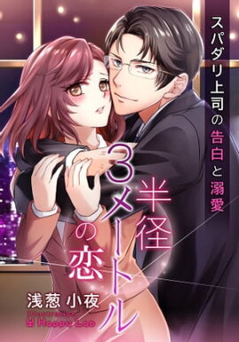 Ⱦ�£��᡼�ȥ���������ѥ����ʤι����Ů�� ���� 