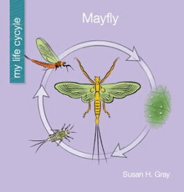 Mayfly【電子書籍】[ Susan H. Gray ]