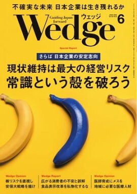 Wedge 2022年6月号 