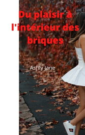 Du Plasisir【電子書籍】[ Ashly Jane ]