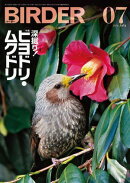BIRDER2026年7月号
