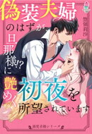 【溺愛求婚シリーズ】偽装夫婦のはずが、旦那様!?に艶めく初夜を所望されています