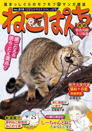 楽天Kobo電子書籍ストア: ねこぱんち No.215 紅葉ながめるネコのしっぽ 