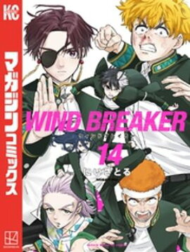 ＷＩＮＤ　ＢＲＥＡＫＥＲ（１４） 