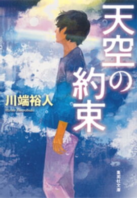 天空の約束（空の一族シリーズ） 