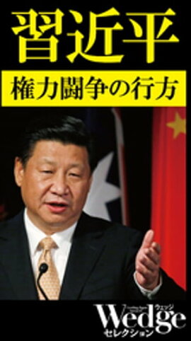 ʿ ƮιWedge쥯 No.42 