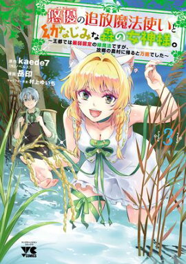 ͪͥˡȤĤʤߤʿν͡ԤǤϺǼǧˡǤζ¼˵ǽǤŻñܡۡ3 